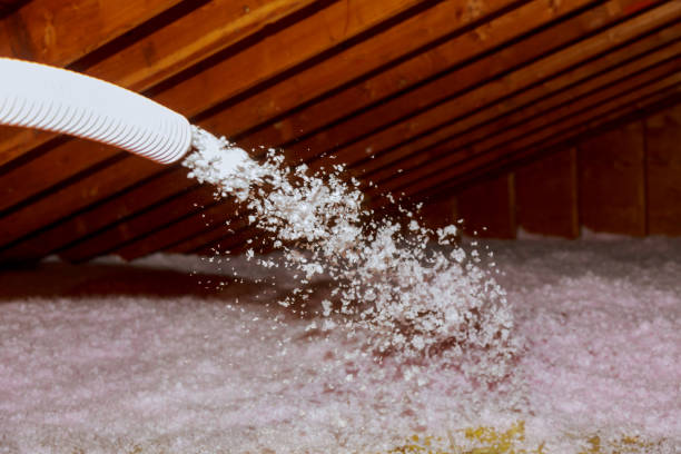 Best Insulation Installation Services in Congress, AZ
