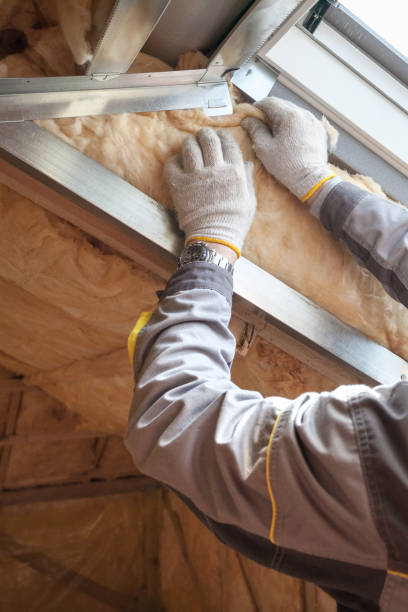 Best Insulation Installation Services in Congress, AZ